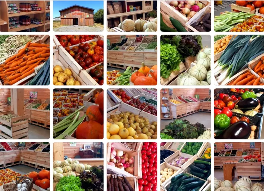 Étal de légumes de saison dans une boutique de ferme en bois : choux, poireaux, radis, carottes et barquettes de fraises.